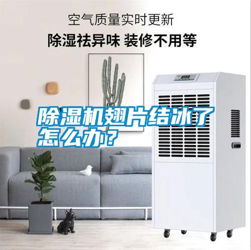 除濕機(jī)翅片結(jié)冰了怎么辦？
