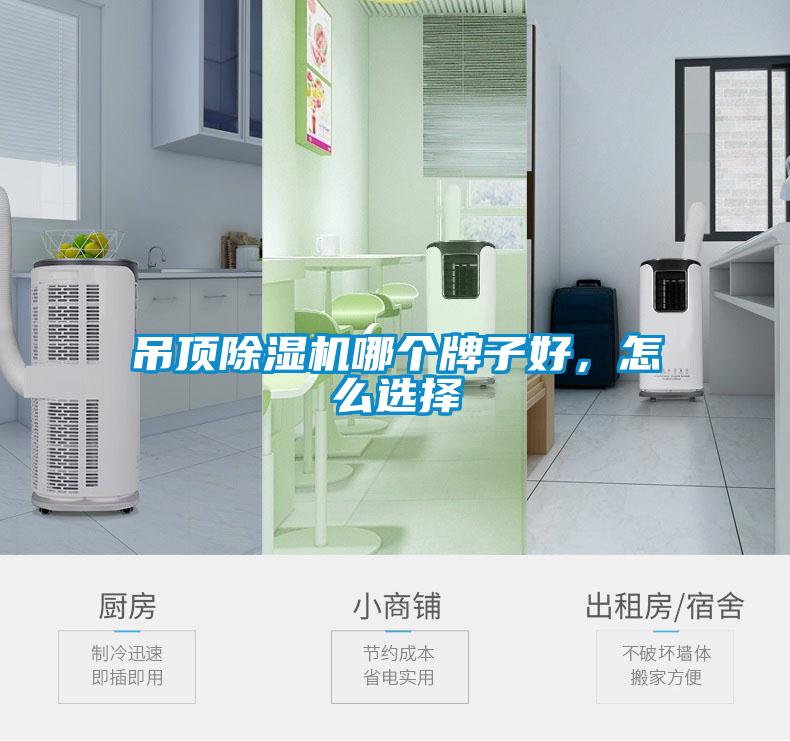 吊頂除濕機(jī)哪個牌子好，怎么選擇