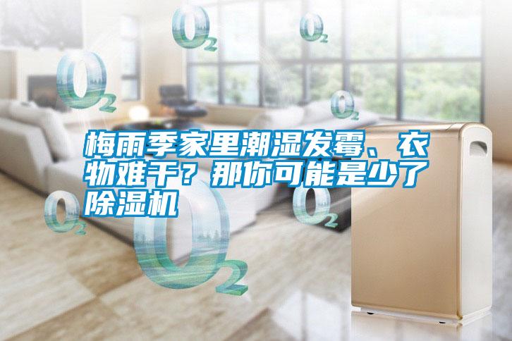 梅雨季家里潮濕發(fā)霉、衣物難干？那你可能是少了除濕機(jī)