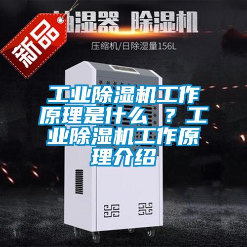 工業(yè)除濕機工作原理是什么 ？工業(yè)除濕機工作原理介紹