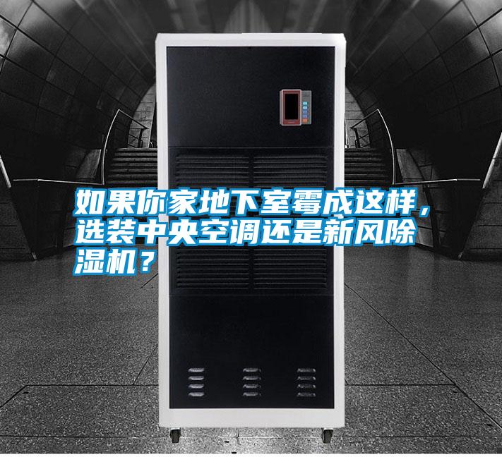 如果你家地下室霉成這樣，選裝中央空調(diào)還是新風(fēng)除濕機(jī)？
