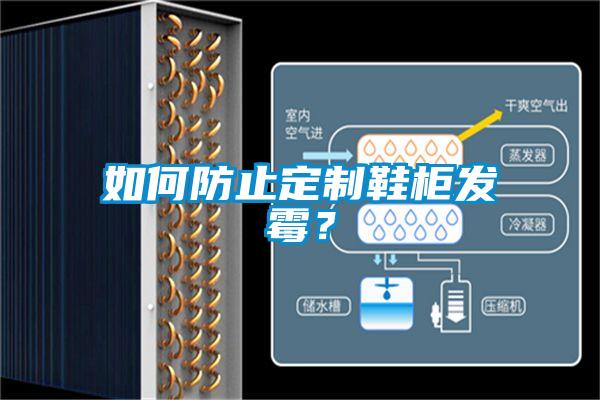 如何防止定制鞋柜發(fā)霉？