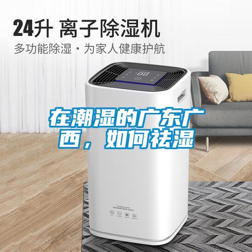 在潮濕的廣東廣西，如何祛濕