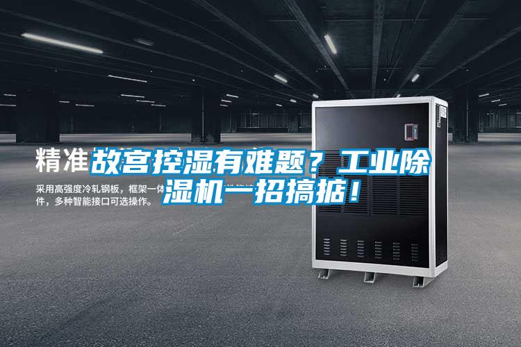 故宮控濕有難題？工業(yè)除濕機(jī)一招搞掂！