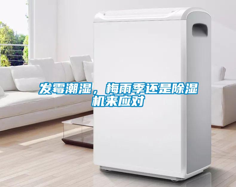 發(fā)霉潮濕，梅雨季還是除濕機(jī)來應(yīng)對