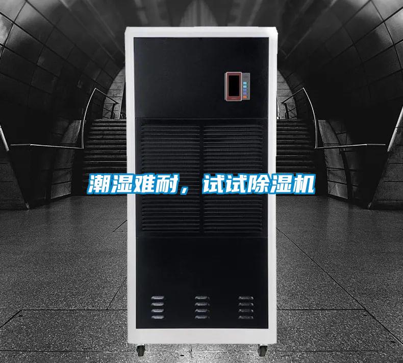 潮濕難耐，試試除濕機(jī)