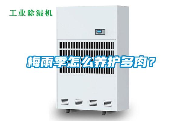 梅雨季怎么養(yǎng)護(hù)多肉？