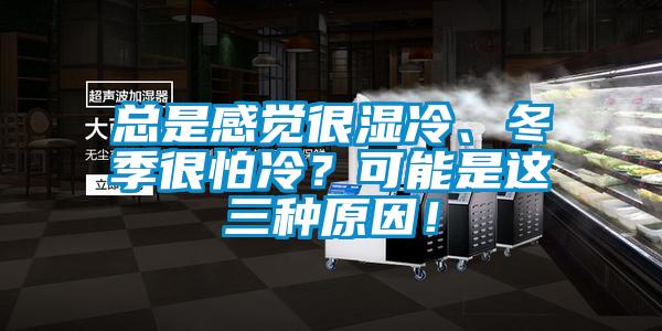 總是感覺(jué)很濕冷、冬季很怕冷？可能是這三種原因！