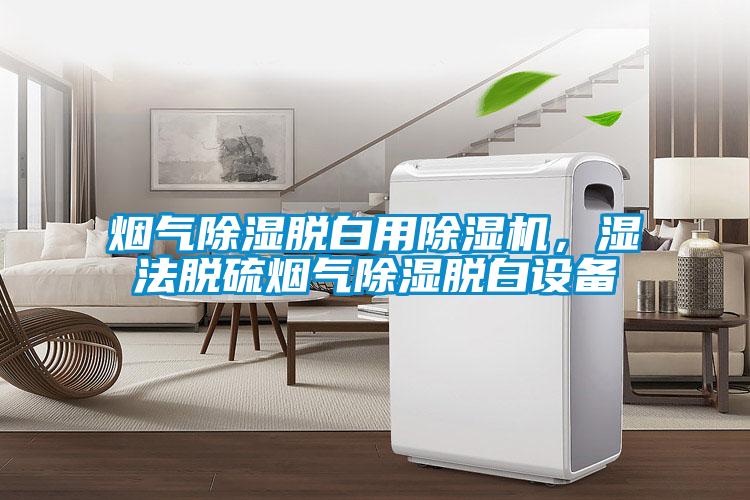 煙氣除濕脫白用除濕機(jī)，濕法脫硫煙氣除濕脫白設(shè)備