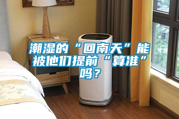 潮濕的“回南天”能被他們提前“算準”嗎？