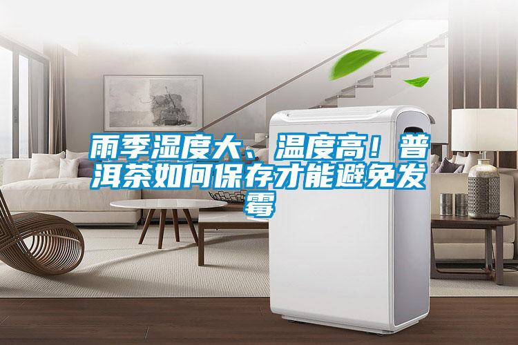 雨季濕度大、溫度高！普洱茶如何保存才能避免發(fā)霉