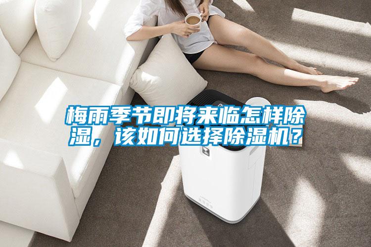 梅雨季節(jié)即將來臨怎樣除濕，該如何選擇除濕機？