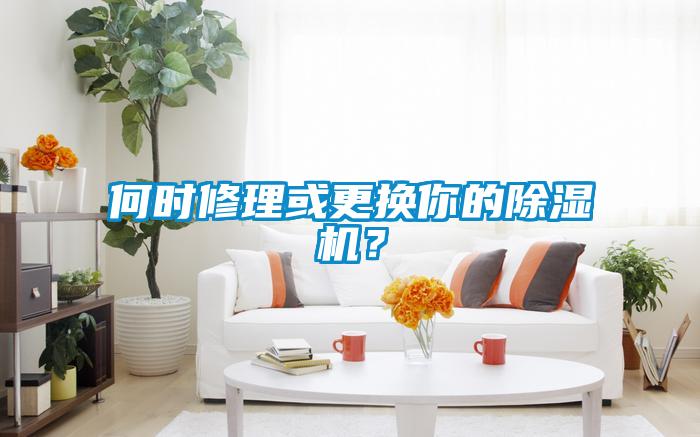 何時(shí)修理或更換你的除濕機(jī)？