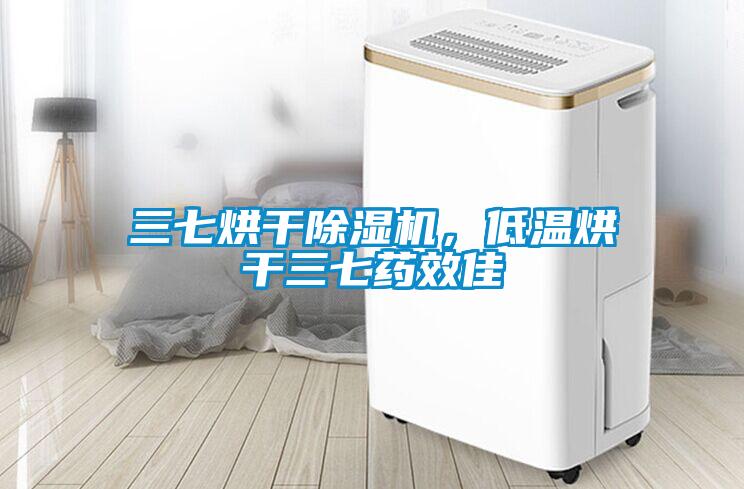 三七烘干除濕機，低溫烘干三七藥效佳