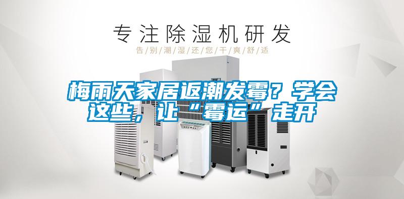 梅雨天家居返潮發(fā)霉？學(xué)會(huì)這些，讓“霉運(yùn)”走開