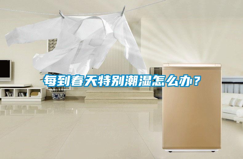 每到春天特別潮濕怎么辦？