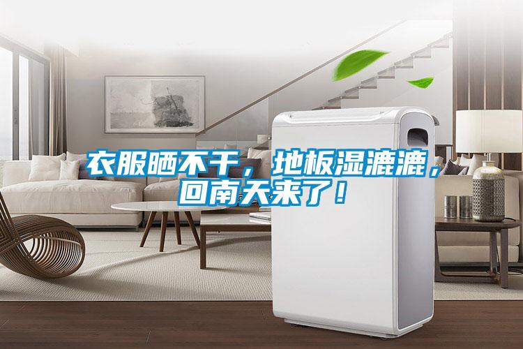 衣服曬不干，地板濕漉漉，回南天來了！