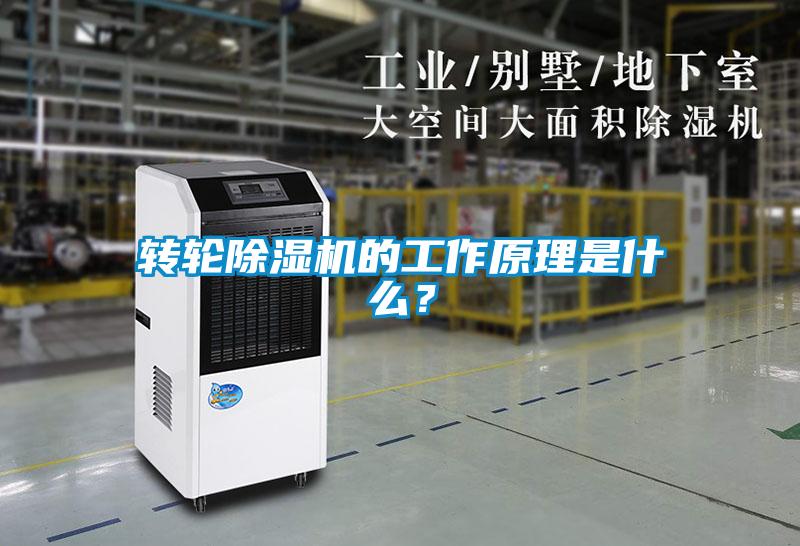 轉(zhuǎn)輪除濕機(jī)的工作原理是什么？