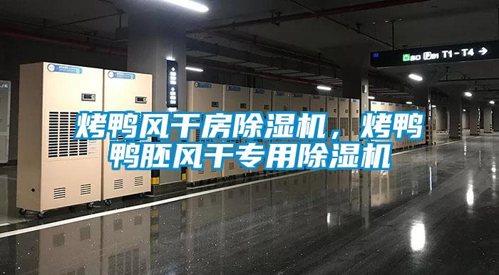 烤鴨風(fēng)干房除濕機(jī)，烤鴨鴨胚風(fēng)干專用除濕機(jī)