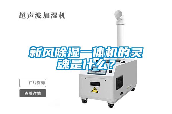 新風(fēng)除濕一體機的靈魂是什么？