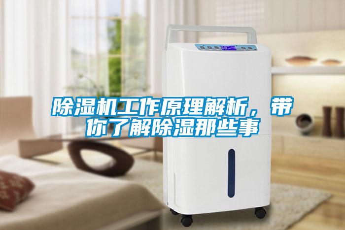 除濕機工作原理解析，帶你了解除濕那些事
