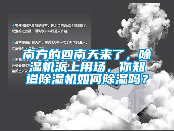 南方的回南天來了，除濕機派上用場，你知道除濕機如何除濕嗎？