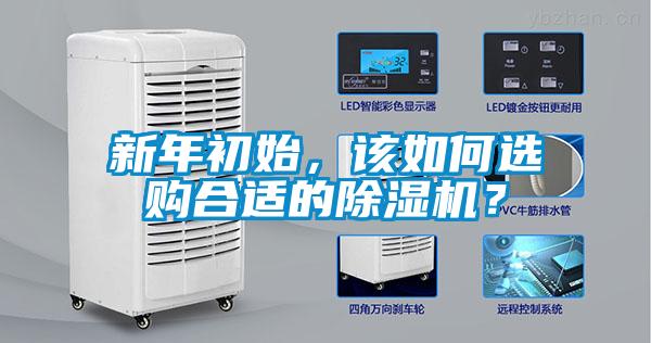 新年初始，該如何選購合適的除濕機(jī)？
