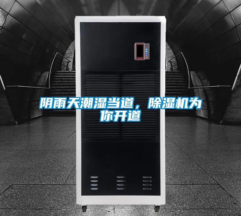 陰雨天潮濕當?shù)?，除濕機為你開道
