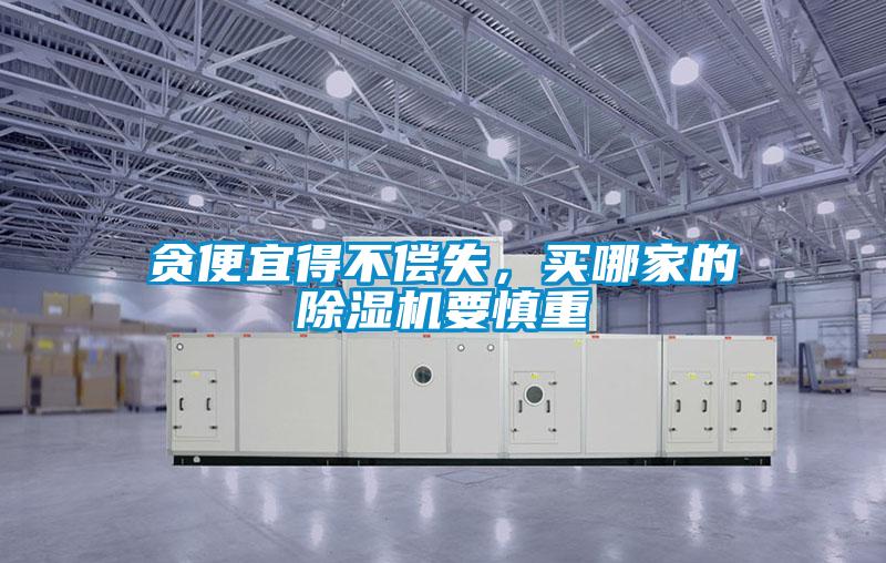 貪便宜得不償失，買哪家的除濕機(jī)要慎重