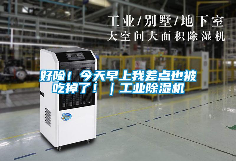 好險(xiǎn)！今天早上我差點(diǎn)也被吃掉了！｜工業(yè)除濕機(jī)