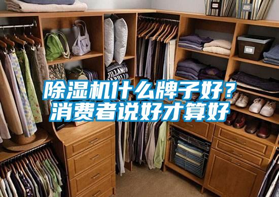 除濕機(jī)什么牌子好？消費(fèi)者說(shuō)好才算好