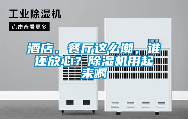 酒店、餐廳這么潮，誰還放心？除濕機用起來啊