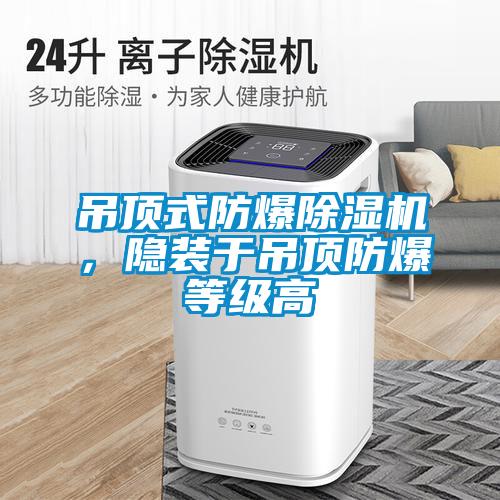 吊頂式防爆除濕機(jī)，隱裝于吊頂防爆等級高