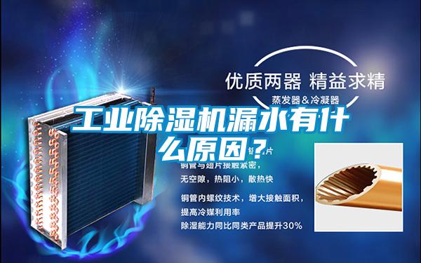 工業(yè)除濕機漏水有什么原因？