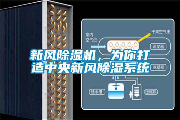新風除濕機，為你打造中央新風除濕系統(tǒng)