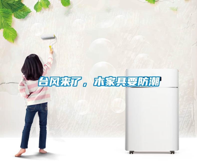 臺(tái)風(fēng)來(lái)了，木家具要防潮