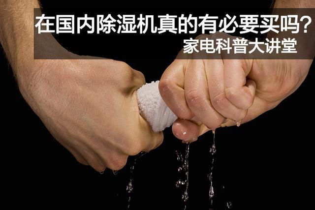 潮濕悶熱天氣，謹(jǐn)防狗狗中暑！