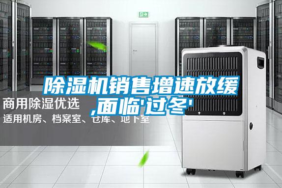 除濕機(jī)銷(xiāo)售增速放緩,面臨'過(guò)冬'