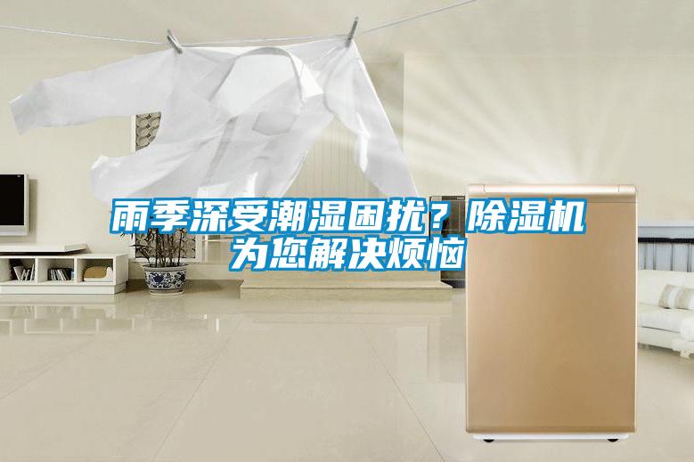 雨季深受潮濕困擾？除濕機為您解決煩惱