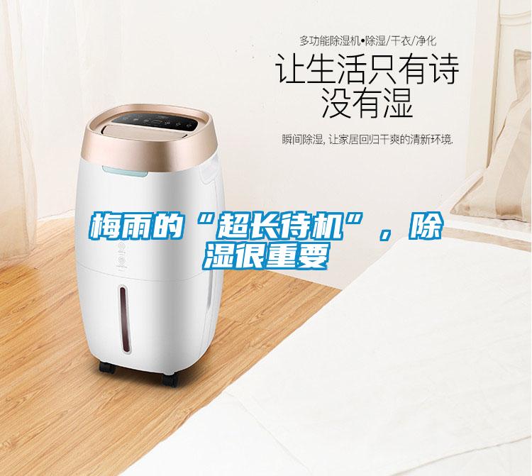 梅雨的“超長待機”，除濕很重要
