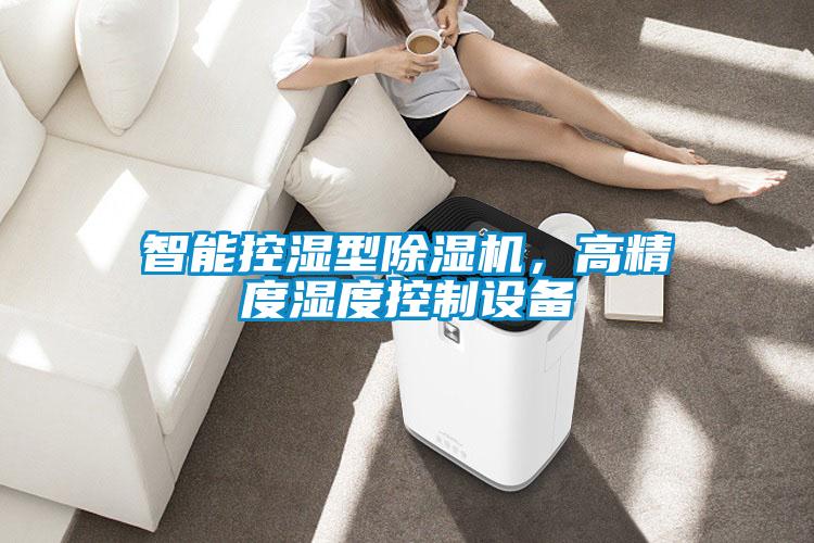 智能控濕型除濕機(jī)，高精度濕度控制設(shè)備