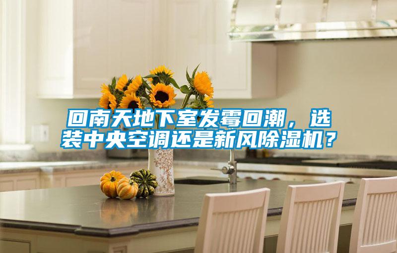 回南天地下室發(fā)霉回潮，選裝中央空調(diào)還是新風(fēng)除濕機(jī)？