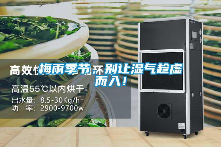 梅雨季節(jié)，別讓濕氣趁虛而入！