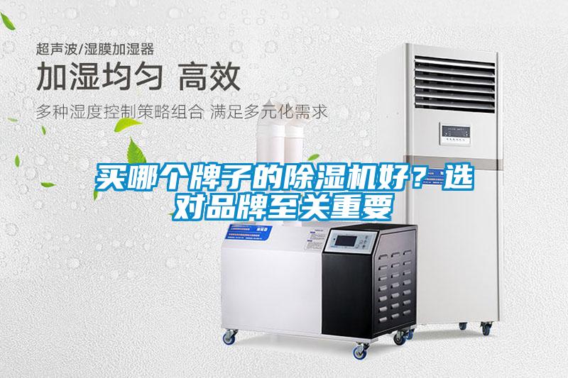 買哪個(gè)牌子的除濕機(jī)好？選對(duì)品牌至關(guān)重要
