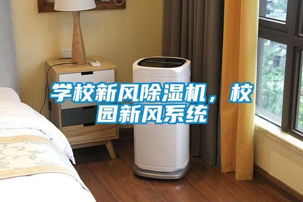 學(xué)校新風(fēng)除濕機(jī)，校園新風(fēng)系統(tǒng)