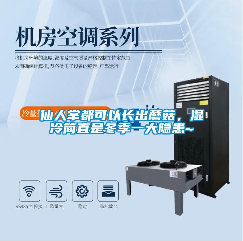 仙人掌都可以長(zhǎng)出蘑菇，濕冷簡(jiǎn)直是冬季一大隱患~
