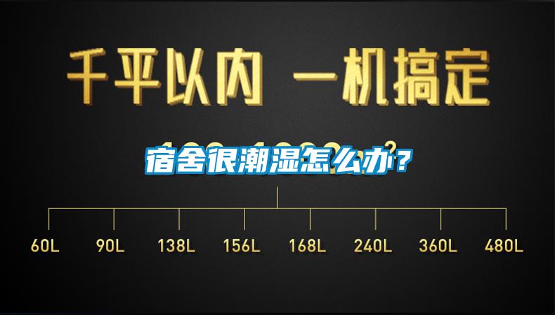 宿舍很潮濕怎么辦？