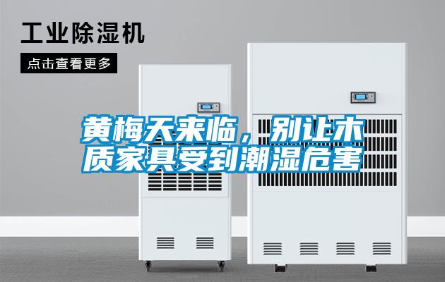 黃梅天來臨，別讓木質(zhì)家具受到潮濕危害