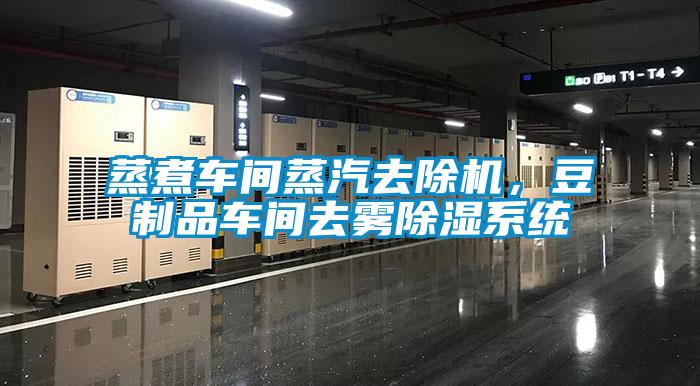 蒸煮車間蒸汽去除機，豆制品車間去霧除濕系統(tǒng)