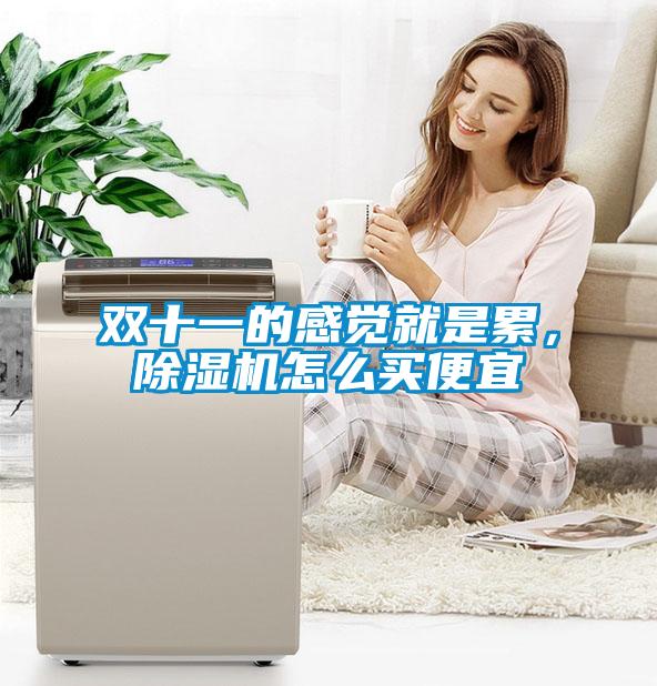 雙十一的感覺就是累，除濕機怎么買便宜